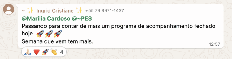 Captura de Tela 2025-04-25 às 13.59.51 (1)